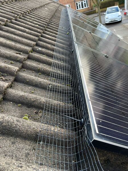 bird proofing service in ocoee fl