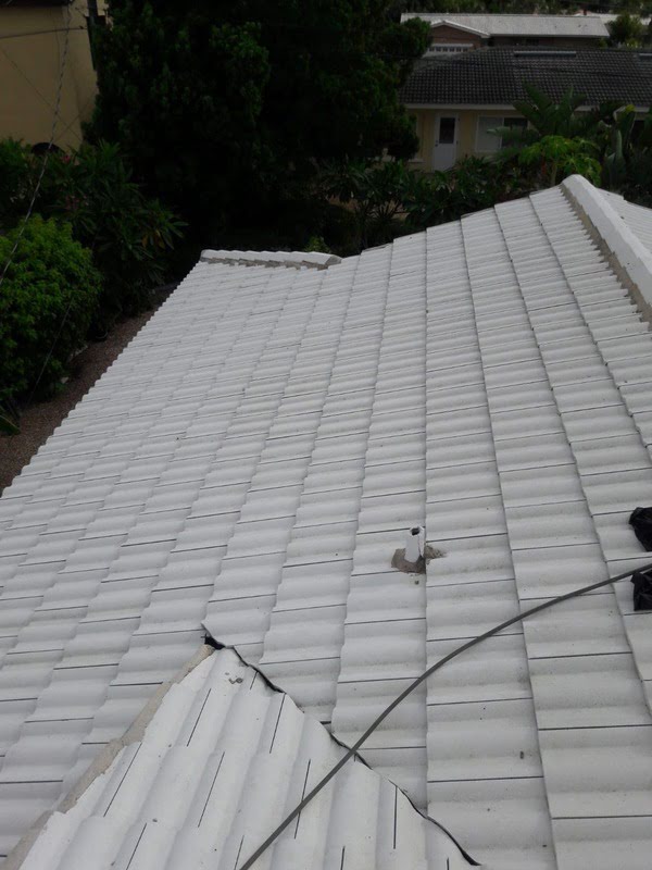 roof cleaning service ocoee fl